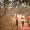 Photos Cardijn Color Run du 13/04/23